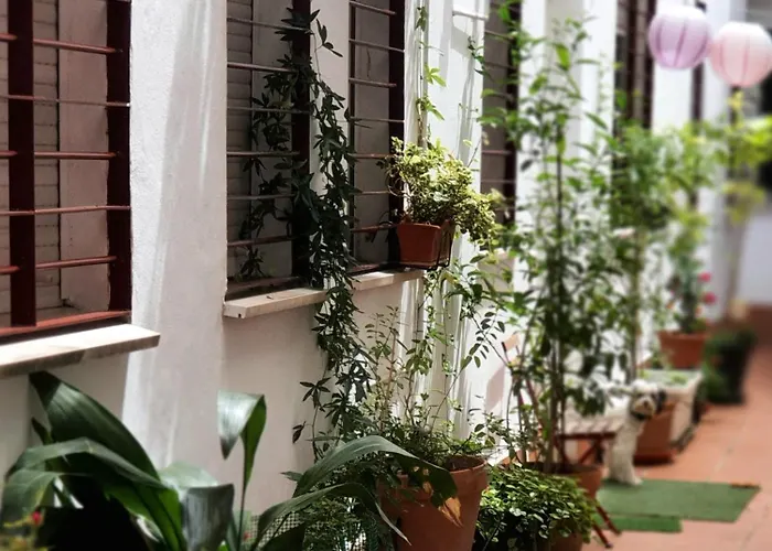 Centuria Macarena, Apartamento Duplex