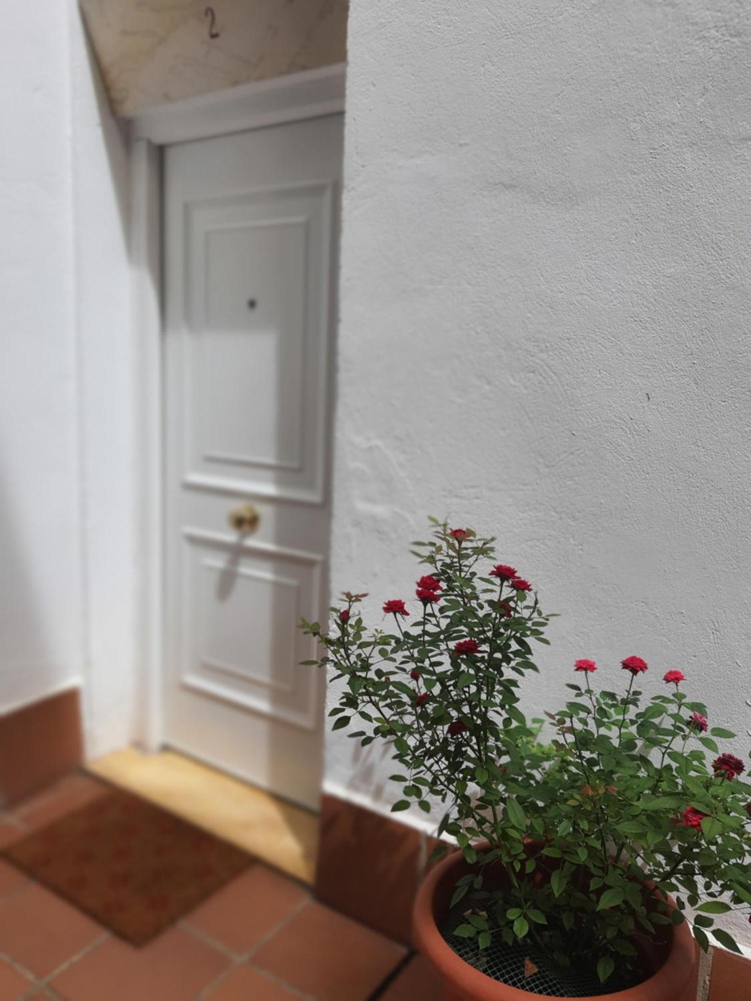 Centuria Macarena, Apartamento Duplex Apartment *